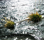 Water flowing over a granite rock face 