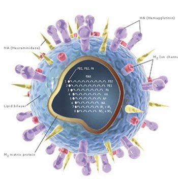 g per day in divided doses in combination with other antiZIDOVIRal agents and 500 mg (100 mg every 4 hours while awake) or 600 mg per day in divided doses for monotherapy. The effectiveness of this dose compared to higher dosing regimens in improving the neurologic dysfunction associated with HIV disease is unknown.
